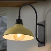 JONATHAN Y Stanley Farmhouse Industrial Indoor/Outdoor Iron LED Gooseneck Arm Outdoor Sconce - 2 of 4