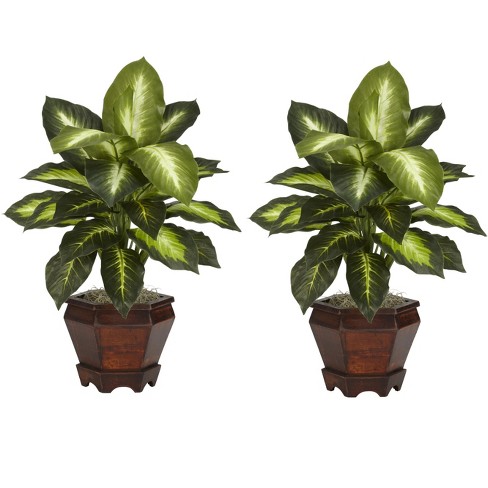 Nearly Natural Dieffenbachia with Wood Vase Silk Plant (Set of 2), Golden - image 1 of 4