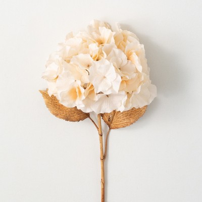 27.5"H Sullivans Billowy Soft Cream Hydrangea, Cream