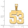 Black Bow Jewelry 14k Yellow Gold, Athletic Collection Medium Polished Number 53 Pendant - 3 of 4