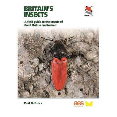Britain's Insects - by  Paul D Brock (Paperback)