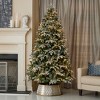 Seasonal LLC Lexington Fir Lightly Dusted Pre-Lit Tree with Glass Bulb Warm White LED Lights and Pinecones - 2 of 4