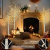Syemin Decorative Holiday Scene Props Set of Lighted Birch Tree, 4FT Artificial Tree Christmas Tree Decoration Indoor and Outdoor, White, 6"*6"*48" - 4 of 4
