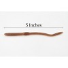 Collectible Wildlife Gifts | Worm, Earthworm, Rubbery, Toy,  Gift, Realistic Figure, Educational Model,  Gift,     5 1/2 inches long       F3396 B38 - 2 of 4