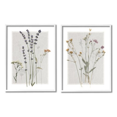 Stupell Industries Delicate Wildflower Sprigs 2 Piece Framed Giclee Art Set