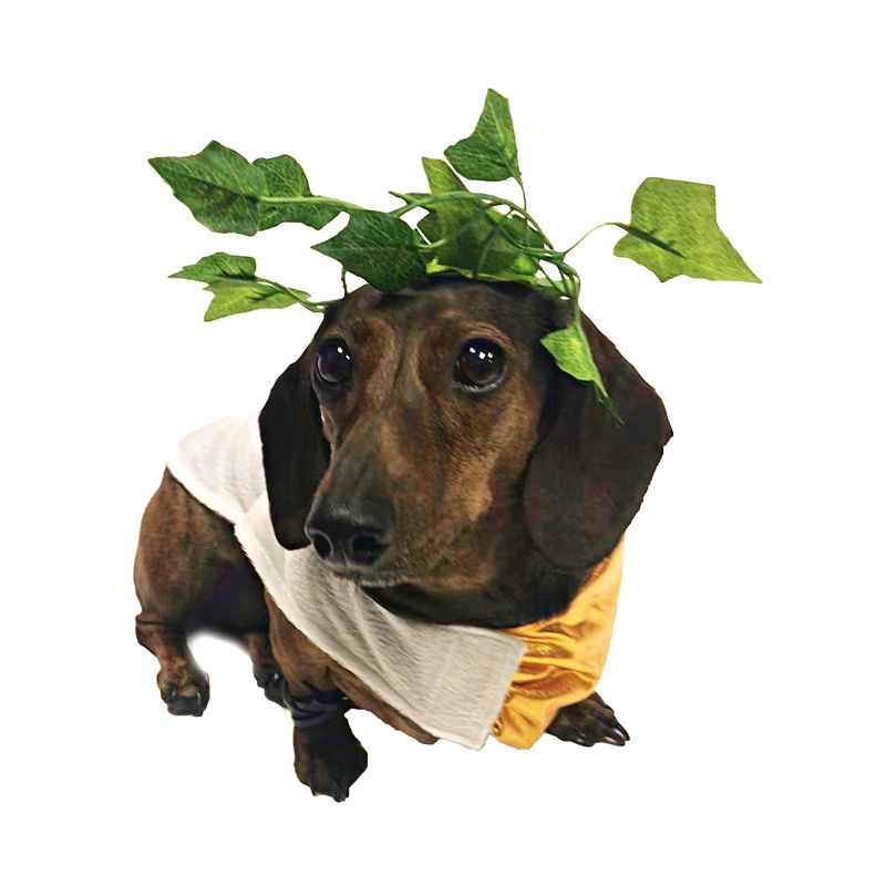 Midlee Toga Dog Costume, 1 of 10