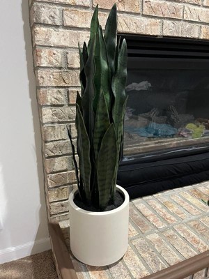 Guest review image 1 of 1, zoom in
