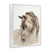 Stupell Industries Gentle Horse Portrait Farm Watercolor Detail Framed Giclee Art - 2 of 4