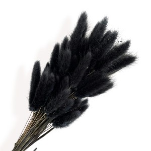Alilang Dried Bunny Tail Grass Stems for Modern Home Decoration and Floral Arrangements, 23.5 Inches - 1 of 3