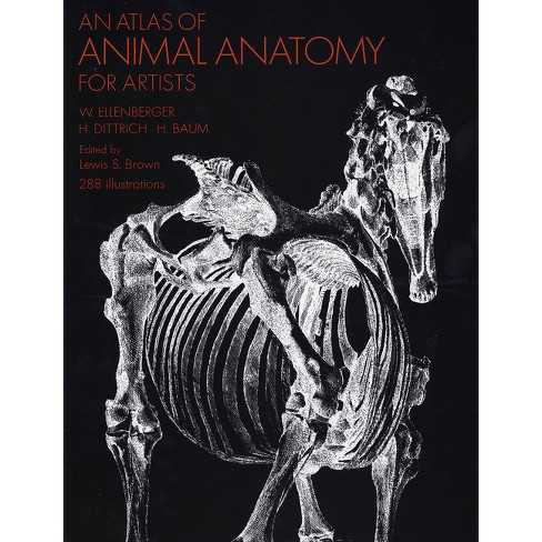 An Atlas Of Animal Anatomy For Artists - (dover Anatomy For Artists) 2nd  Edition,annotated By W Ellenberger & Francis A Davis (paperback) : Target