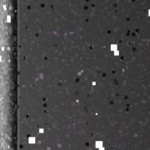 arizona state sun devils