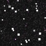 arizona state sun devils