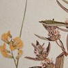 Madison Park 2pc French Herbarium Framed Linen Canvas : Cottage-Inspired, Botanical Digital Art, MDF Composite Frame - 4 of 4