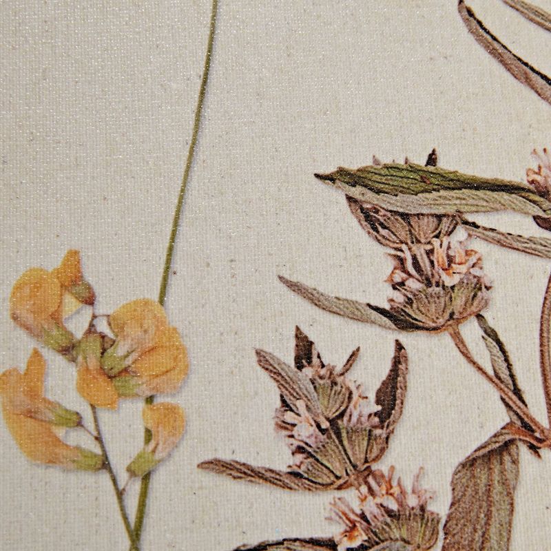 2pc French Herbarium Framed Linen Canvas - Martha Stewart, 5 of 10
