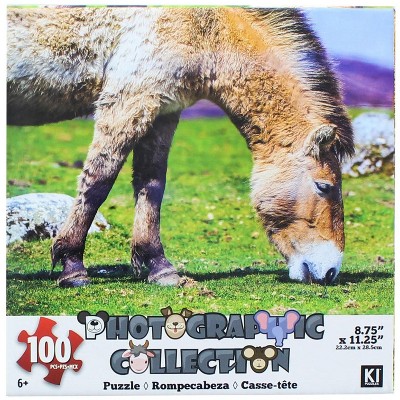 KI Puzzles Donkey 100 Piece Photographic Collection Jigsaw Puzzle