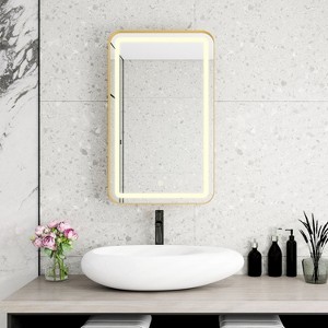 NicBex Oval/Rectangle Wall Cabinet with LED Lights,Storage Cabinet with Tempered Glass Shelves,Wall Mounted Bathroom Cabinet,Medicine Mirror Cabinet - 1 of 4