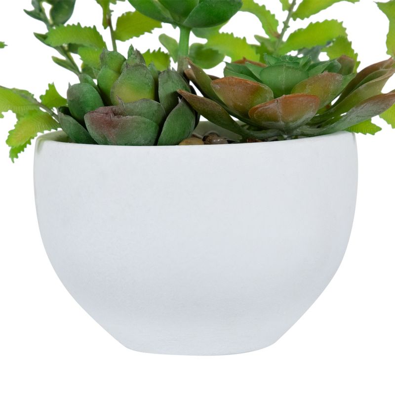 Northlight 11.5" Mixed Succulent and Fern Artificial Potted Plant - Green/White, 5 of 7