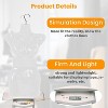 FDW 4 Piece Female Male Mannequin  Set Torso Dress Form 27/30 Inch Height Dress Model Mannequin with PP Material & Adjustable Metal Hooks - 3 of 4