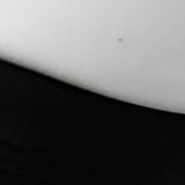 white & black