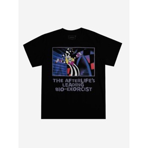 Beetlejuice The Afterlife's Leading Bio-Exorcist Crew Neck Short Sleeve Black Adult T-shirt - 1 of 4