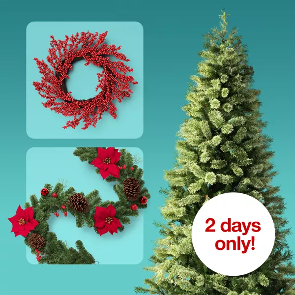 2 days only!