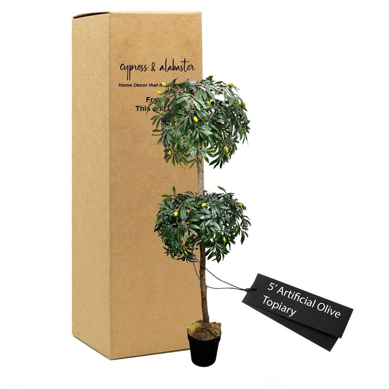 Cypress & Alabaster | Olive Topiary In Growers Pot, 2 of 12
