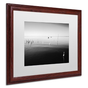 Trademark Fine Art -Moises Levy '11 Herons' Matted Framed Art - 1 of 4