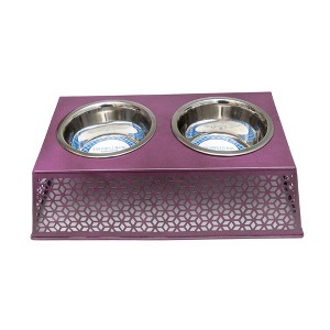 Country Living Elevated Dog Feeder with 2 Stainless Steel Bowls – Raised Pet Bowl, Ideal for Medium to Large Dogs - 1 of 4