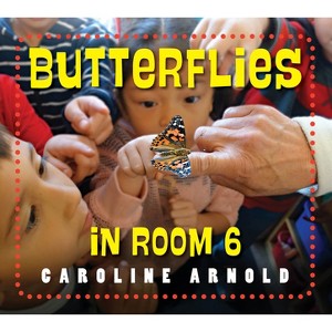 Butterflies in Room 6 - (Life Cycles in Room 6) by  Caroline Arnold (Paperback) - 1 of 1