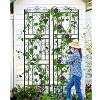 Artloge 2 PCS  Metal Garden Border Trellis - 71.6" Tall Climbing Plant Fence for Outdoor Patio & Backyard Lawn Edging - 4 of 4
