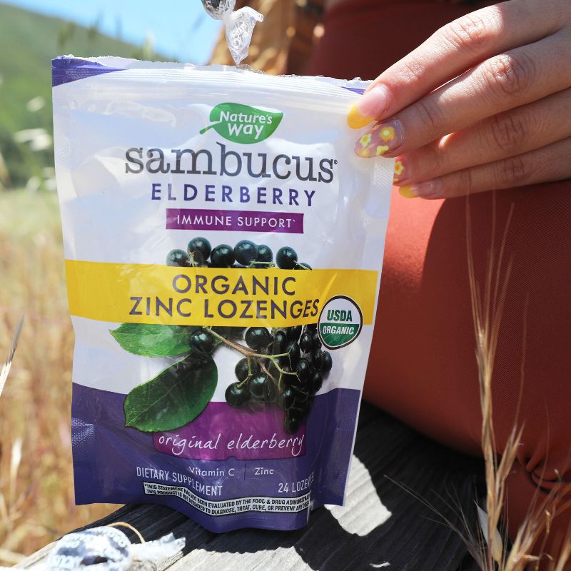 Nature&#39;s Way Sambucus Organic Elderberry and Zinc Lozenges - 24ct, 4 of 10