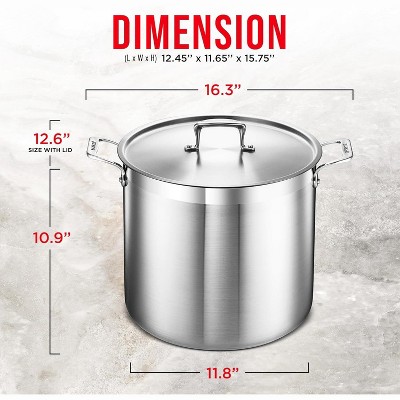 20 Quart Brushed Stainless Steel Stockpot with Lid and Riveted Handles