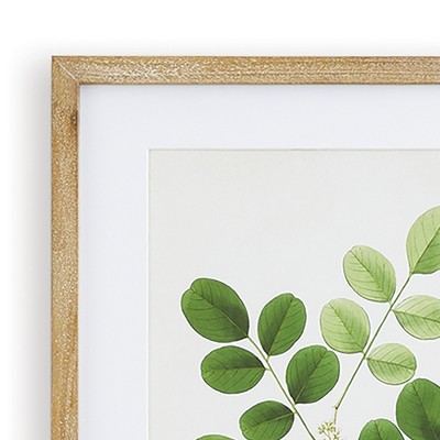 Natural Wood Framed Green Tree Leaf Study Prints, Set of 6