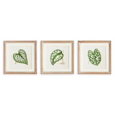Plum & Post Leaf Cuttings Petite Prints, Set Of 3