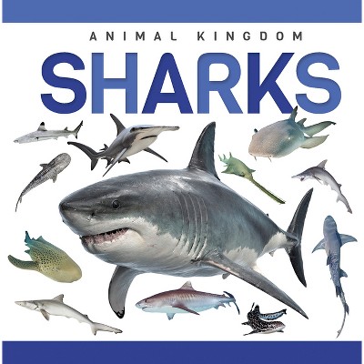 Sharks - by  Alex Hall (Paperback)