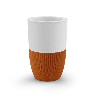Dupray Bloom Air Purifier | Medical-Grade HEPA-13 Air Filtration