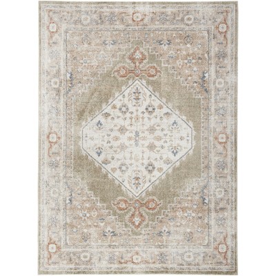 Nourison Washable Astra Vintage Persian Indoor Flatweave Area Rug
