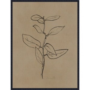 Amanti Art Eucalyptus Sapling by Dan Hobday Framed Canvas Wall Art - 1 of 4