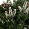 NOMA 24 Inch Evergreen Pre Lit Vienna Hanging Basket with Pine Branches, Pinecones, and Snow for Indoor Outdoor Holiday Decor - 4 of 4