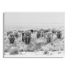 23" x 31" Herd of Highland Cows BW by The Creative Bunch Studio Floating Acrylic Unframed Wall Canvas - Kate & Laurel All Things Decor - 2 of 4