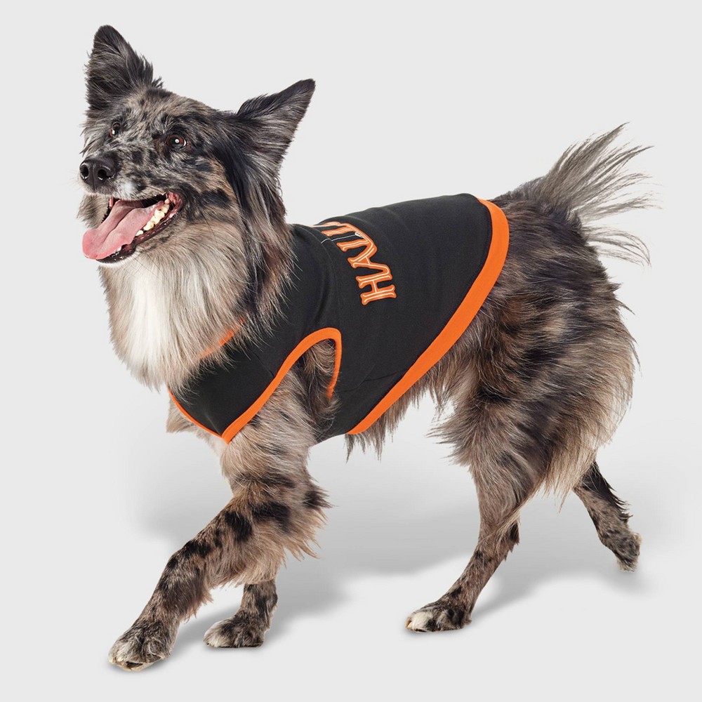 Halloween Dog Sweatshirt