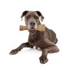 Nylabone Natural Extra Large Nubz with Wild Bison Flavored Chewy Dental Chew Dog Treats - 6.8oz - image 4 of 4