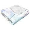 Disney Tinkerbell Posie Poppin Pixie Silk Touch Throw Blanket 50x60 Inches - 3 of 4
