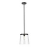 Callista 1-Light Pendant - Matte Black Steel with Clear Glass Shade, Dimmable, 10" x 12" - 4 of 4