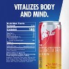 Red Bull Winter 2025 Edition Energy Drink - 4pk/12 fl oz Cans - 2 of 4