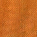 orange vector
