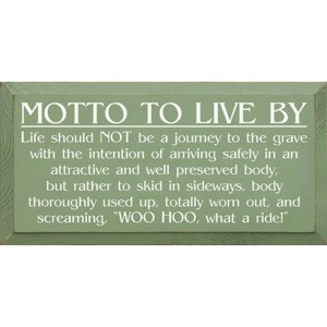 Slickblue Inspirational Wood Wall Sign – Life Is A Ride Quote – Rustic Decor Accent – 9x18 Inches, Multi Color Options - 1 of 3