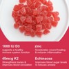 B Beworth Natural Vitamin D3 & K2 Gummies, for Bone Health and Immunity, 60 Count - 2 of 4
