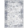 Coucheta Machine Washable Runner Rug, Non-Slip Low Pile Vintage Distressed Carpet for Kitchen Hallway Bedroom Entryway,Multiple sizes and colors - 2 of 4