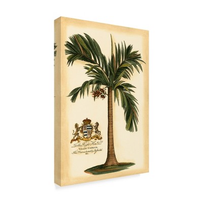 Trademark Fine Art -Vision Studio 'British Colonial Palm I' Canvas Art